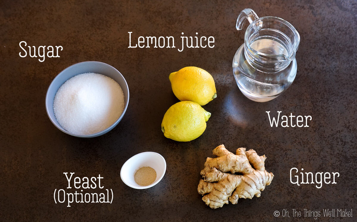 Overhead view of ingredients for ginger beer