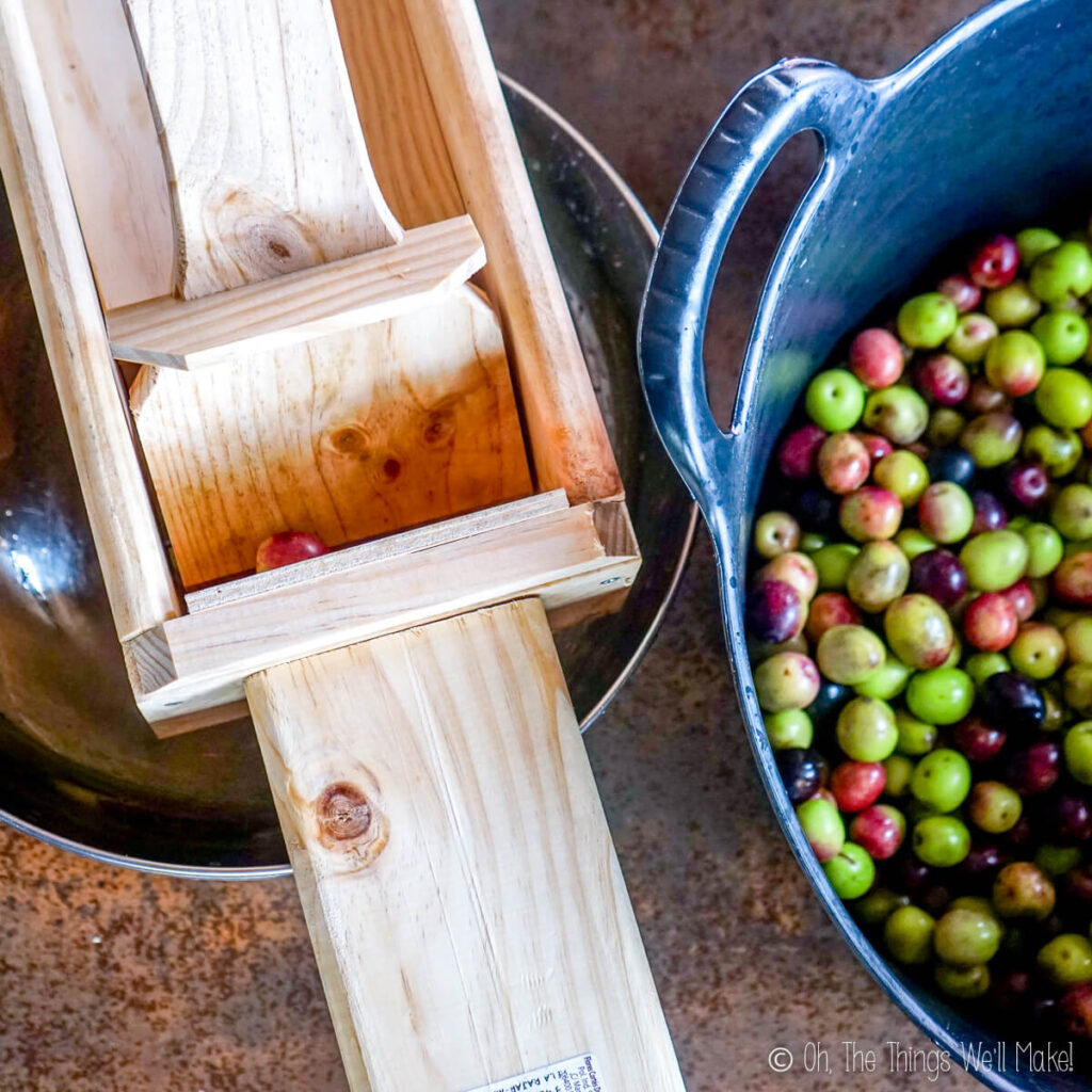 An olive being smashed in a wooden tool made for smashing olives