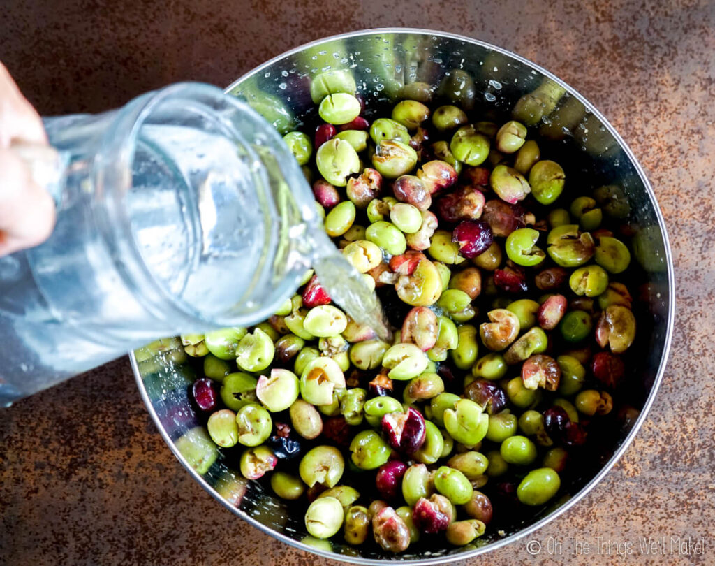 How to Cure Green Olives at Home - Curing Green Olives