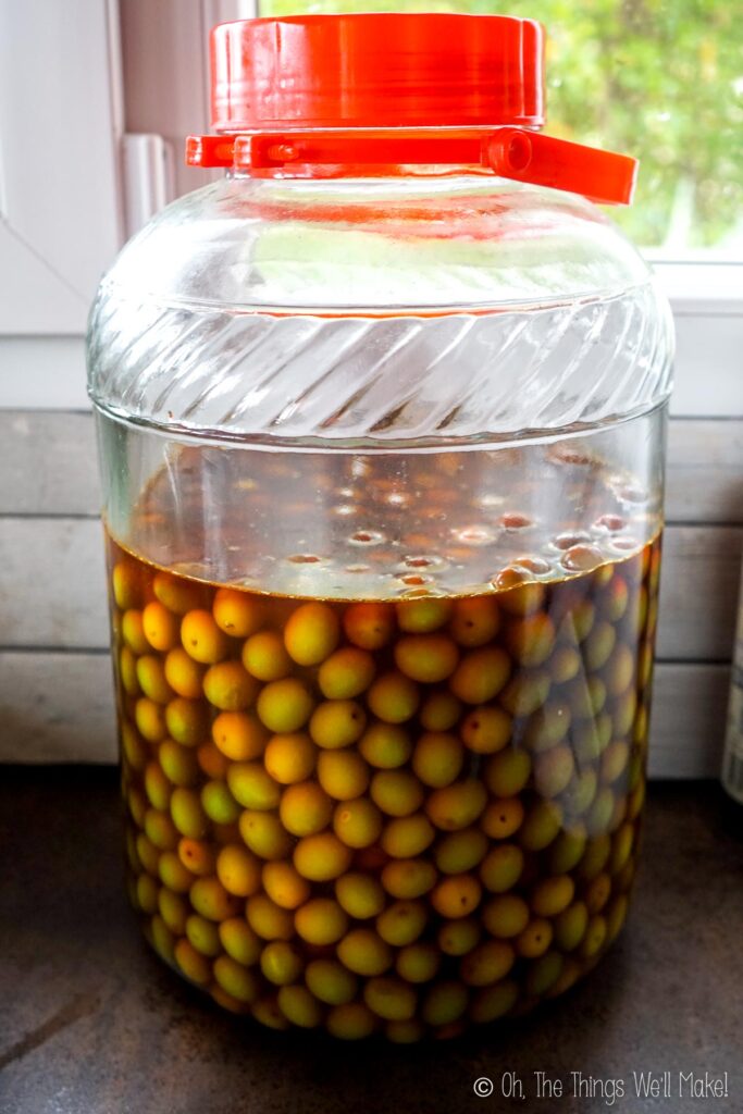 A jar of olives soaking in a lye solution