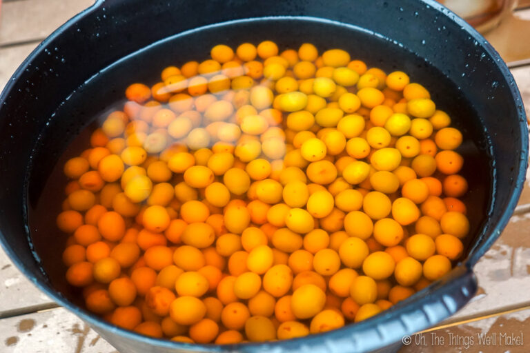 How to Make Lye Cured Olives A Step by Step Tutorial Oh, The Things