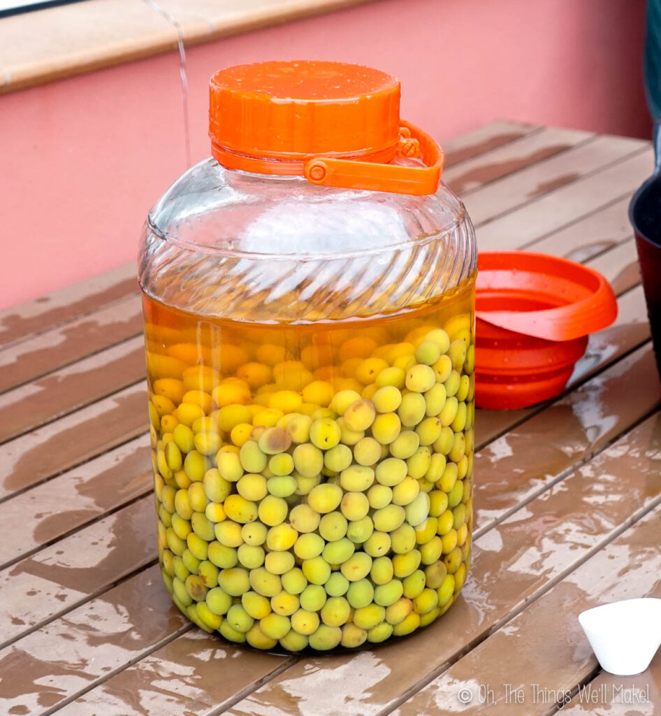Soaking lye treated olives in water in a glass jar  (The water is golden in color)