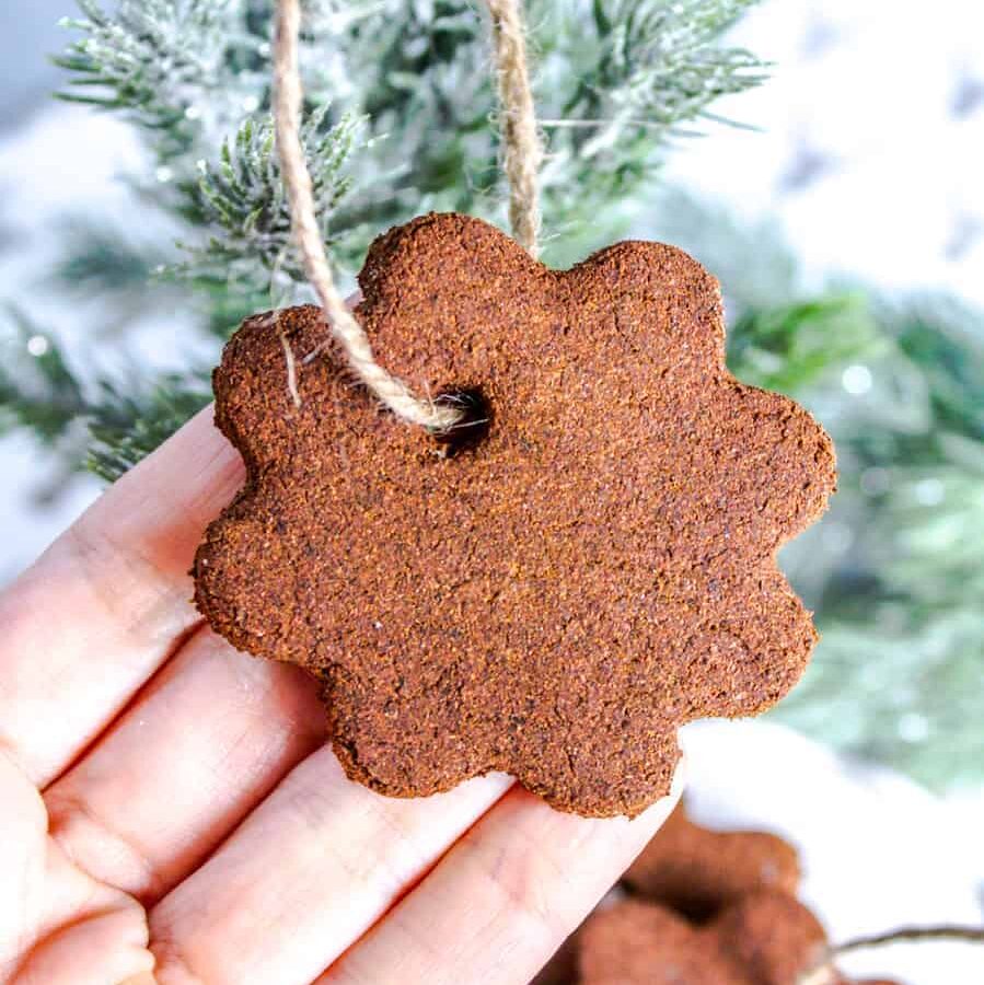 A hand lifting up a flower-shaped cinnamon applesauce ornament hanging on a Christmas tree
