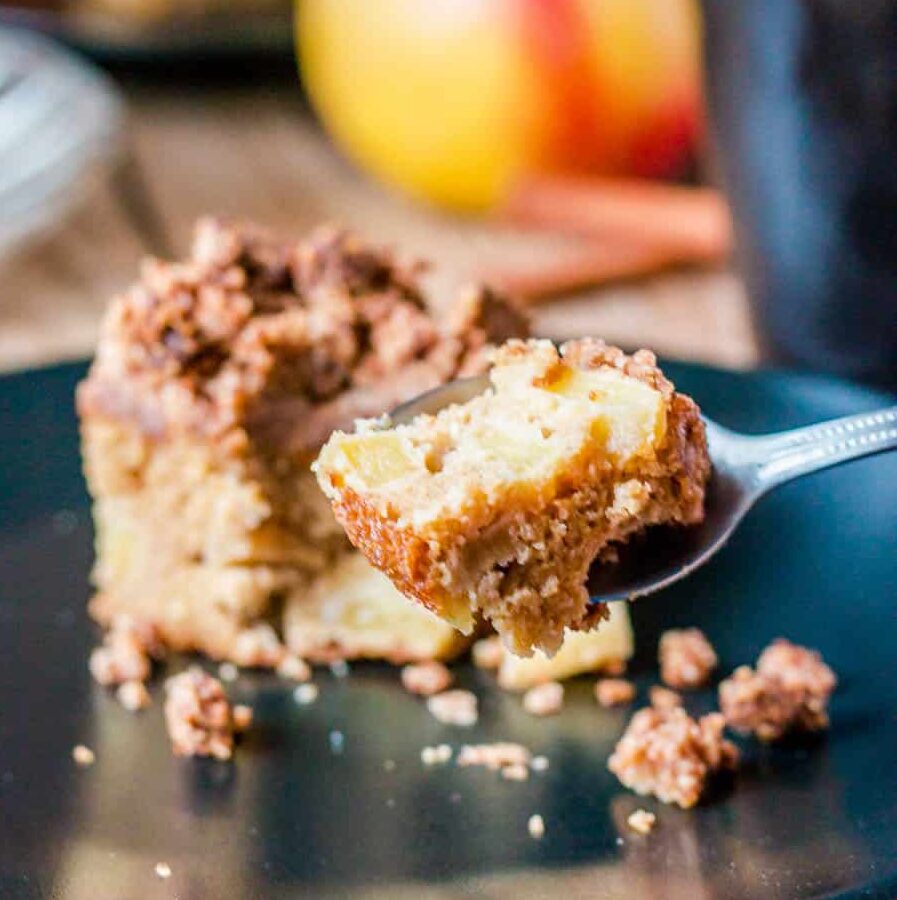 With fall apples giving this coffee cake its moist texture, which contrasts with its crispy crumb topping, this paleo apple crumb cake is definitely one of my favorite paleo treats.