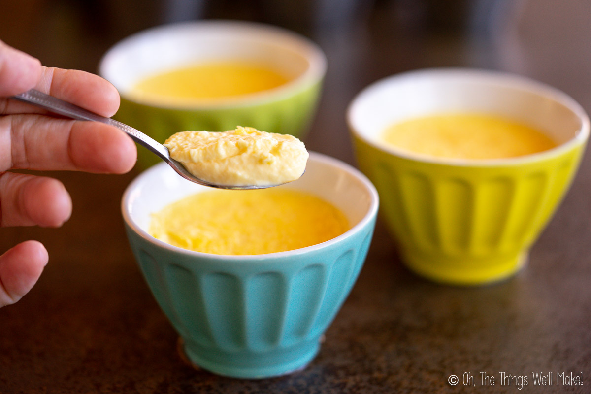 Carnivore Keto Custard