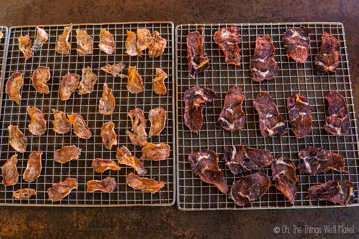 Dried meat chips on dehydrator trays