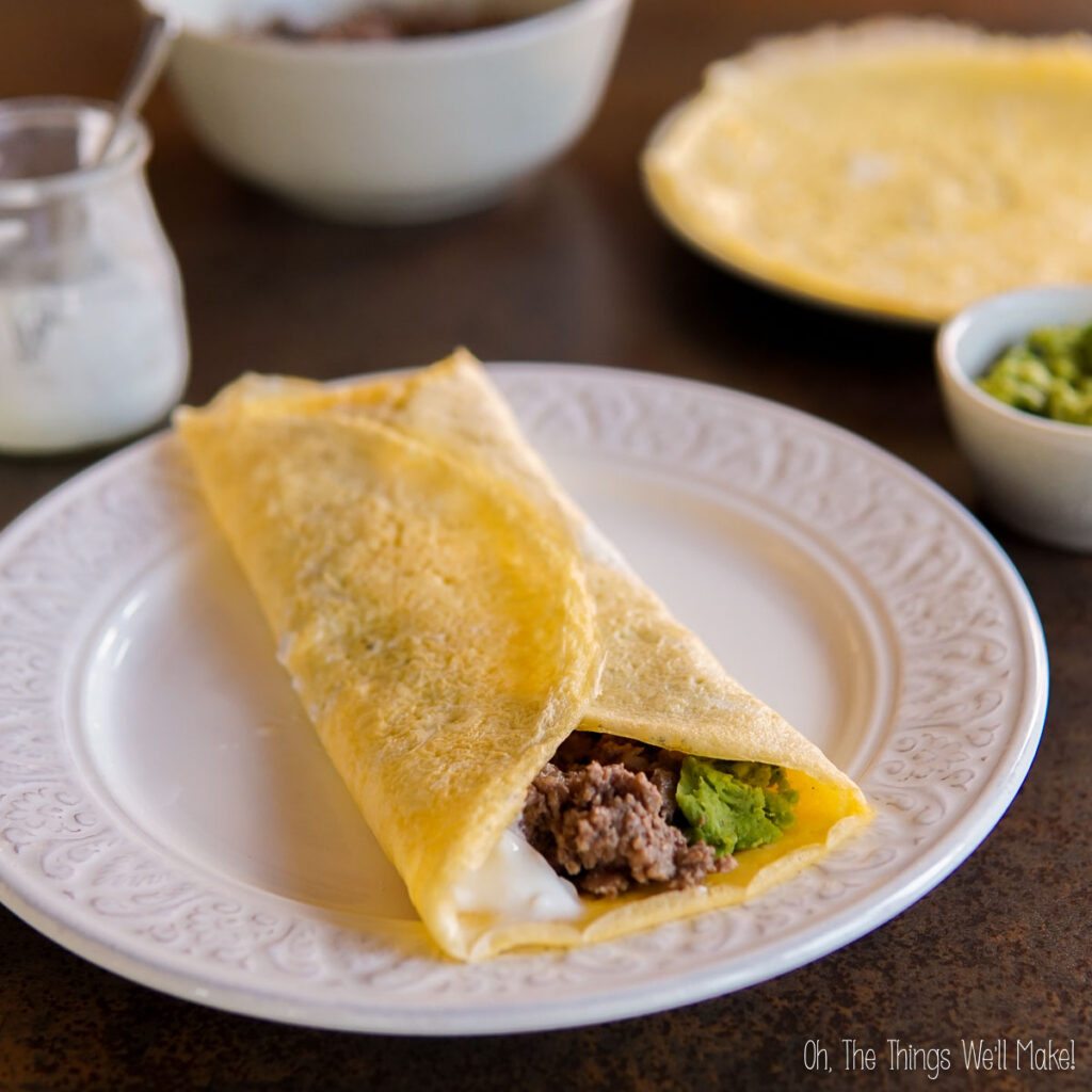 Easy Egg Wraps - Oh, The Things We'll Make!