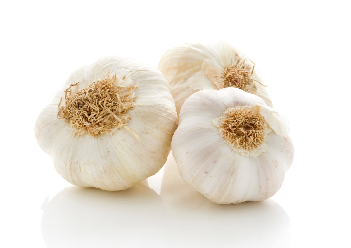 Three whole garlic bulbs with roots attached, placed on a white reflective surface against a white background.